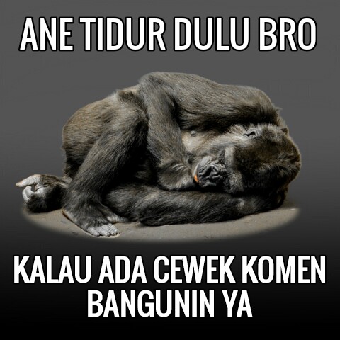 Meme lucu amunisi perang gambar terbaru  yudanesia.com