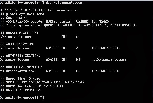 Cara Install DNS di Ubuntu server 12.04