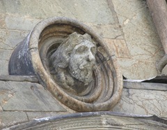 P7185456