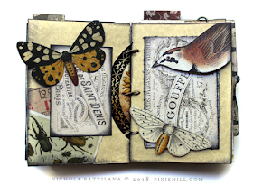 Little Big Fat Nature Journal - Nichola Battilana for AlphaStamps