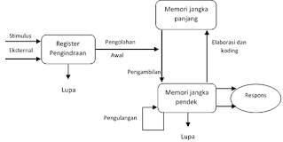 proses pengolahan informasi menurut teori pengolahan informasi