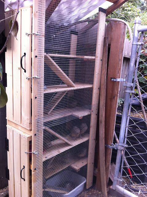 housing for quails