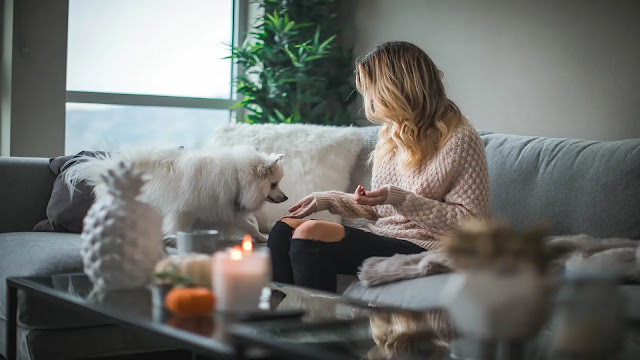 Dog and a Girl