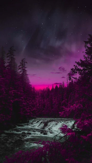 Purple Sunset Forest iPhone Wallpaper