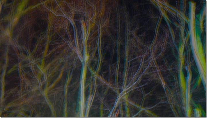 trees2