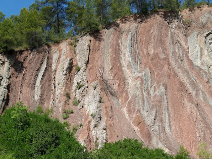 Estrats verticals de l'anticlinal d'Oló a la Baga de Moratones