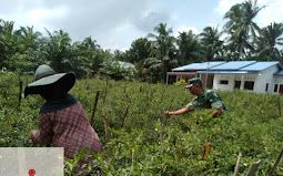 Personel Koramil 07/AJ Kodim 0208/Asahan Berikan Motivasi Kepada Petani Cabe Warga Binaan