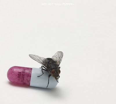 Photo Red Hot Chili Peppers - I'm With You Picture & Image