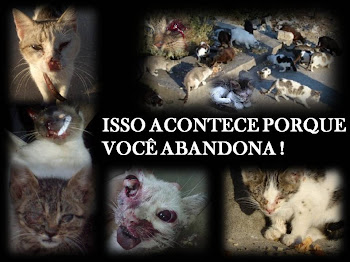 Quando você abandona um animal você está condenando ele a morte.Por favor não abandone seu animal.