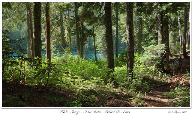 Lake George: This Color. Behind the Trees.