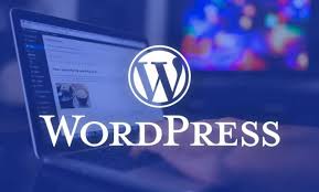 WordPress Quiz (Agami best computer training center Institute in Tangail)