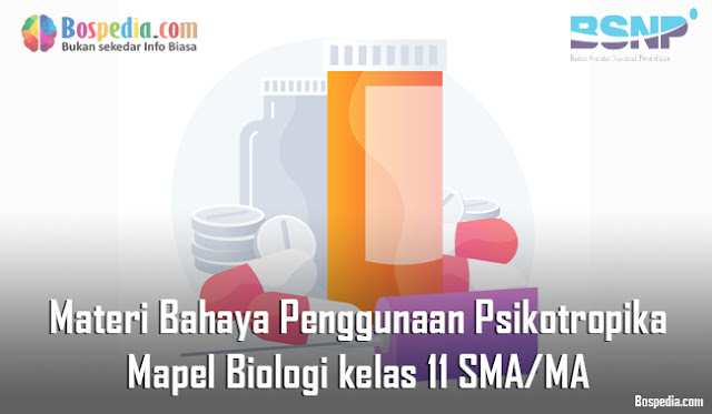 Materi Bahaya Penggunaan Psikotropika Mapel Biologi kelas 11 SMA/MA