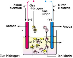 Larutan Elektrolit dan Larutan NonElektrolit Lengkap