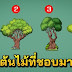 เลือกต้นไม้ที่ชอบที่สุด 1 ต้น จาก 4 ต้น จะบอกถึงธาตุแท้ในจิตใจคุณ
