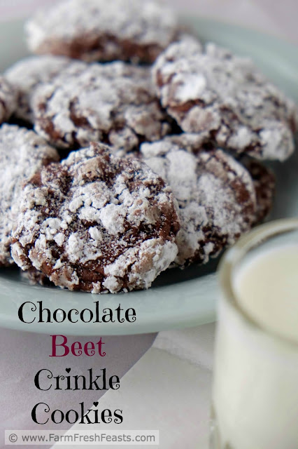 Roasted beets in a tender and chocolatey crinkle cookie.