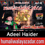 http://www.humaliwalayazadar.com/2015/10/adeel-haider-nohay-2016.html