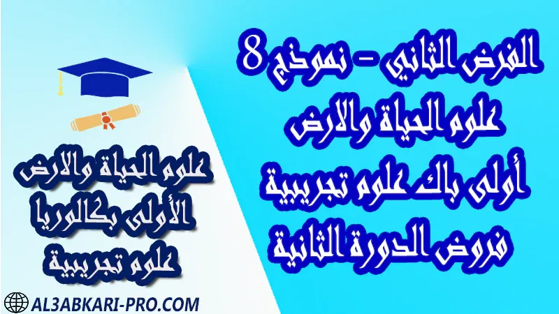 فروض محلولة مادة علوم الحياة والارض فرض فروض مصححة الدورة الثانية الفرض الثاني أولى باك علوم تجريبية الأولى بكالوريا بكالوريا البكالوريا اولى باكالوريا باك  درس ملخص أنشطة تمارين وثائق جذاذات مادة علوم الحياة والارض علوم الحياة و الارض أولى باك علوم تجريبية الأولى بكالوريا البكالوريا اولى باكالوريا مادة علوم الحياة والارض مستوى أولى باك علوم تجريبية اولى باك الأولى بكالوريا أولى بكالوريا البكالوريا باكالوريا موقع التعليم عن بعد  مواقع دراسة عن بعد منصة التعليم عن بعد منصات التعليم عن بعد التعليم عن بعد مجانا برامج التعليم عن بعد مجانا التعليم عن بعد مجاناً افضل مواقع التعليم عن بعد مجانا منصات التعليم عن بعد مجانية منصات تعليم عن بعد