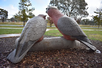 BIG Galah  Sculpture in Watson by Bev Hogg & Elizabeth Patterson | ACT BIG Things