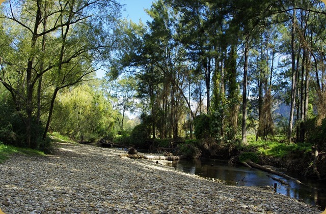 Creek behind Gloucester CP.