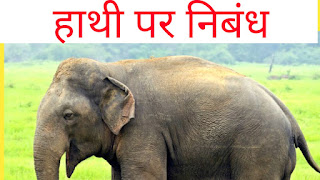 हाथी पर निबंध//Essay on elephant in Hindi
