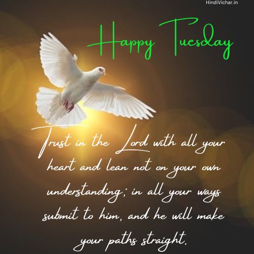 Happy Tuesday Blessings