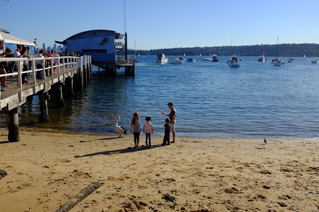 Watsons Bay Sydney Beach 