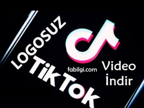 TikTok Logosuz Video İndirme Yöntemi Yeni Site Uygulamasız 2021