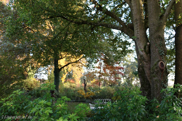 jardin en automne petit jard' Ain