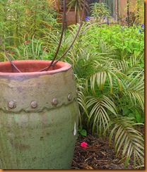 pot
