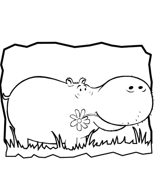 African Animal Coloring Pages Hippo Free