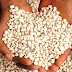 BREAKING!!! Danger: Consumer council alerts Nigerians on ‘sniper-treated beans’