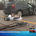 Deer-vehicle collisions