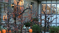20+ #Amazing #Outdoor #Halloween #Decorations #Ideas #For #This #Year
