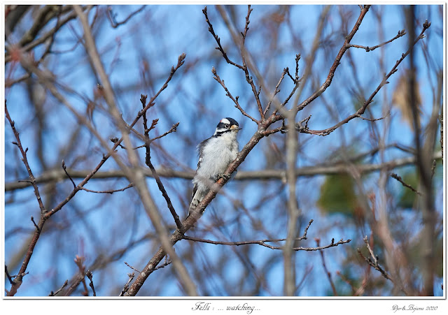 Fells: ... watching...