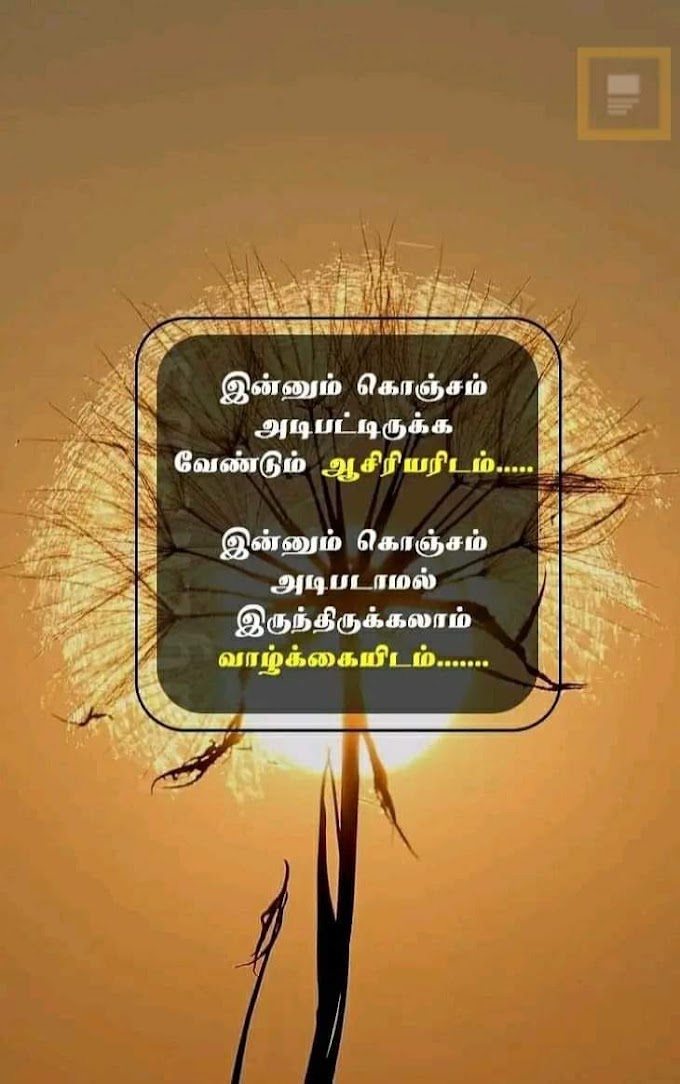 எந்த பூச்சிகள் இறந்தாலும் எறும்புகளே அதை இறுதி ஊர்வலமாய் எடுத்து செல்கிறது.