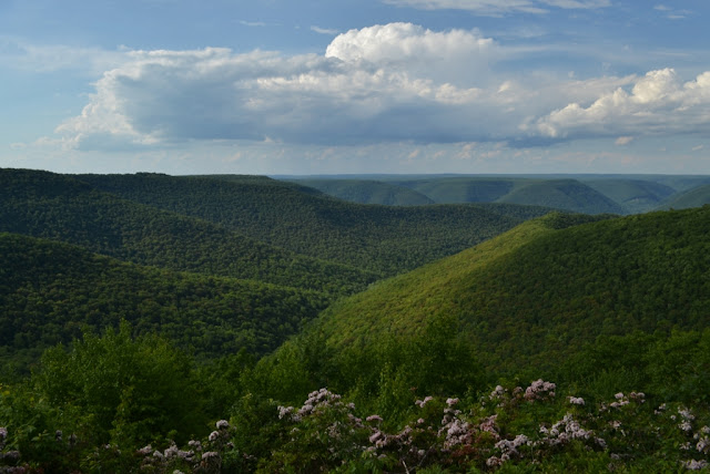 Here in Clinton County the mountains are flat-topped with steep valleys 