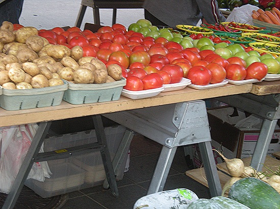 DSCN3448