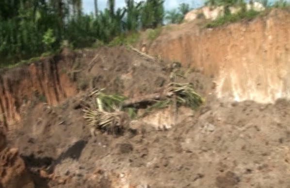 Sudah Dilakukan Clearing dan Tidak adanya Reklamasi, Masyarakat Nagori Sayur Matinggi "Kirim Surat Terbuka"