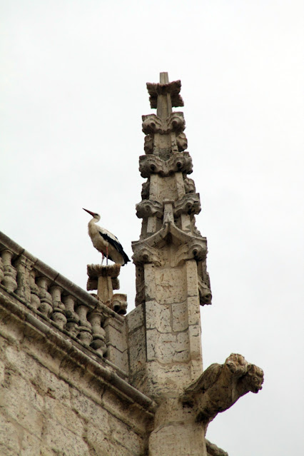 Chiesa-Palencia