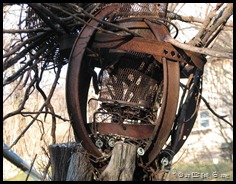 After the night fire