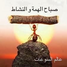 اجمل صور للعبارات صباح الخير 2013 , اجمل واروع صور عبارات مكتوب عليها صباح الورد 2013 اجمل صور للعبارات صباح الخير 2013 , اجمل واروع صور عبارات مكتوب عليها صباح الورد 2013