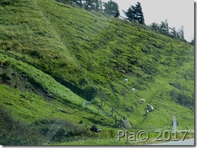 P1140166