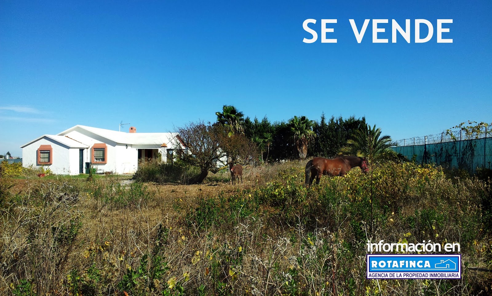 Casa en Rota - Casa de campo en Rota - Finca rústica en Rota