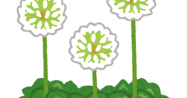 シロツメクサのイラスト かわいいフリー素材集 いらすとや シロツメクサのイラスト かわいいフリー素材集 いらすとや