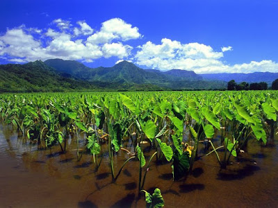 Photos of Nature-Beautiful views