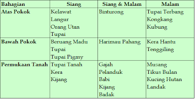 Tree Builder: EKOSISTEM - HUTAN HUJAN TROPIKA TANAH PAMAH