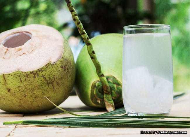 Benarkah Tidak Boleh Minum Air Kelapa Jika Makan Ubat 