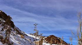 escapada a sierra nevada con niños, mirlo blanco, hoya mora