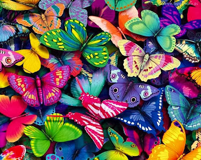 Mariposas de colores
