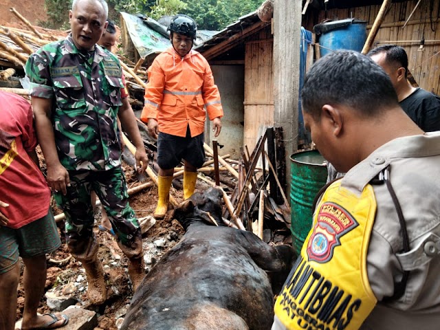 Sedikitnya Ada 8 Rumah Tertimbun Longsor Dikapanewon Patuk : Satu Hewan Sapi Mati Tertimbun Longsoran